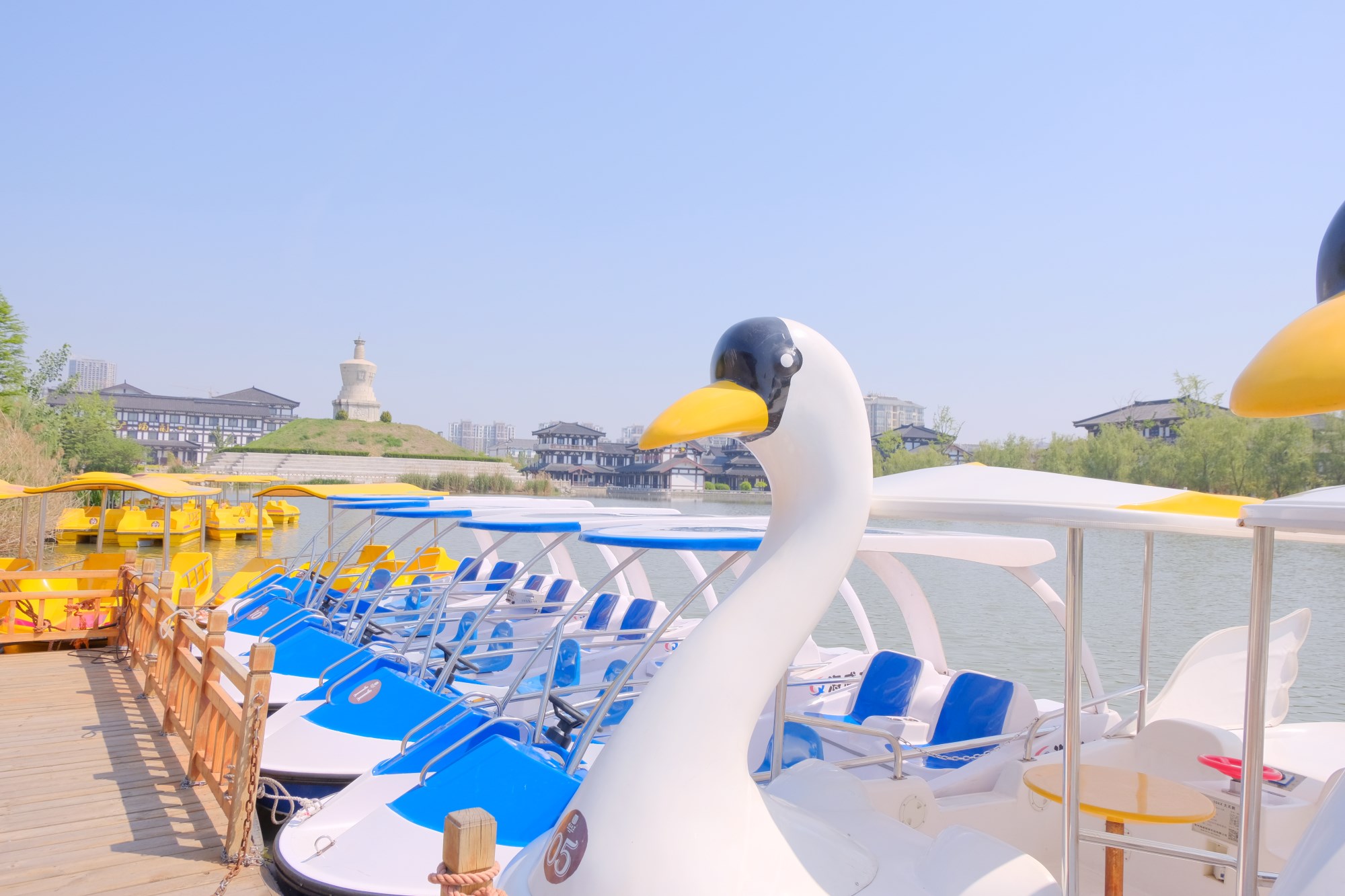 DSCF0894_副本.jpg